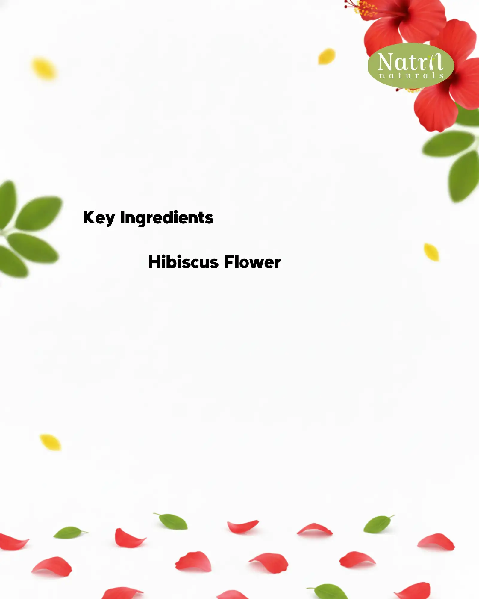 HIBISCUS FACE/HAIR PACK(50 g) - image 2